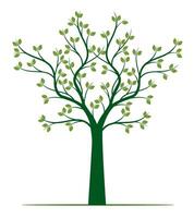 Shape of green Tree with Leaves and Roots. vector
