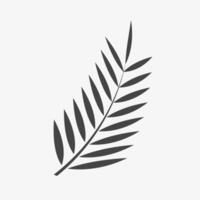 Palm sunday concept. Branch of palm glyph icon vector