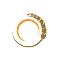 Wheat logos stylized element symbol design vector