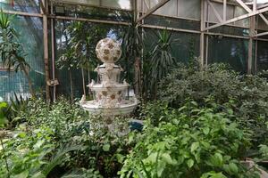 A fountain in a greenhouse with plants and trees photo