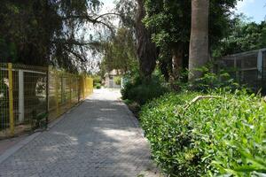 A sidewalk with a fence photo