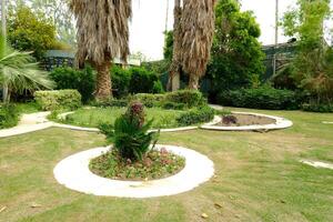 A circular garden photo