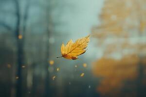 A Single Golden Leaf Falling Through the Air photo