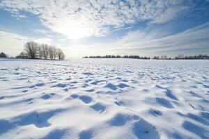Snowy Field Under a Bright Blue Sky photo
