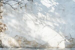 White Wall with Branch and Leaf Shadows photo