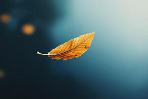 Single Golden Leaf Falling Against a Blue Gradient Background photo