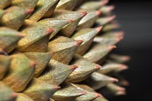 Close-up of sharp durian fruit skin detail photo