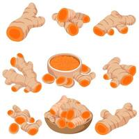 Turmeric Illustration Set Root and Slice vector