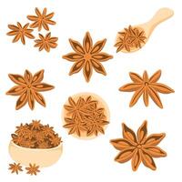 Star Anise Illustration Set Hand Drawn Spice Elements vector