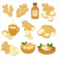 Flat Illustration Ginger Root Slices and Drink vector