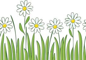 grass and daisies seamless pattern vector