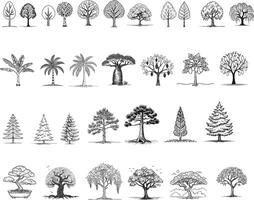 various kinds of trees sketch vector