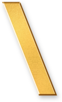 Gold Backslash Icon 3D Glossy Golden Symbol with Metallic Shine and Shadowed Style for Escape Characters, Code Paths, File Directory Syntax, and Programming Line Breaks png