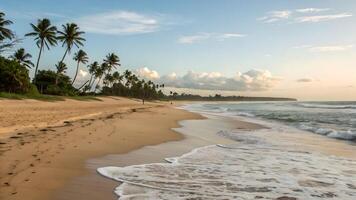 Tropical Beach Sunset Serenity Scene for Travel Brochures and Vacation Planners Discover Paradise with Palm Trees, Soft Sand, and Calm Waves Perfect for Relaxation and Adventure photo