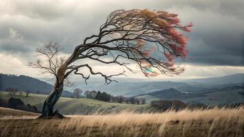 Lone Tree with Vibrant Red Leaves in a Serene Landscape for Nature Lovers and Photography Enthusiasts red photo