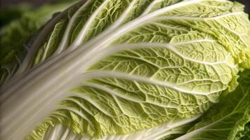 Cabbage Leaf Detailed Close-Up for Food Photography and Culinary Designers, High-Quality Image Perfect for Recipe Websites and Cooking Blogs organic photo