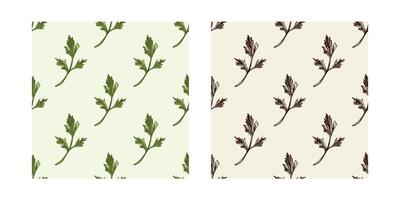 Set of seamless parsley patterns with hand drawn black and colored leaves in vintage sketch style vector