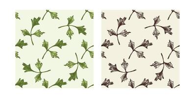 Vintage seamless pattern collection of hand drawn parsley leaves in black and color versions vector