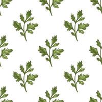 Colored parsley leaf pattern in seamless vintage sketch illustration vector