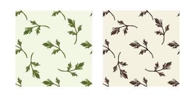 Collection of seamless hand drawn parsley patterns in color and black vintage ink style vector