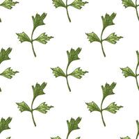 Botanical seamless pattern with hand drawn parsley leaves in vintage engraved sketch style vector