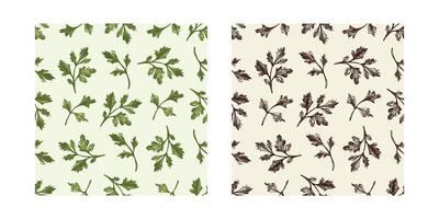 Hand drawn parsley leaf seamless patterns in vintage style, black and colored variations vector
