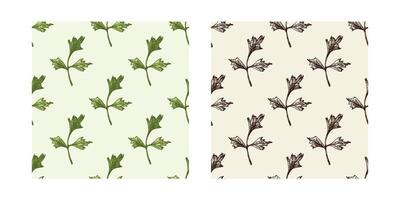 Vintage sketch parsley leaf patterns, seamless set with monochrome and colored versions vector