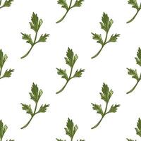 Hand drawn parsley leaf seamless pattern in vintage sketch style, colored botanical design vector
