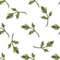Seamless botanical pattern of parsley leaves in vintage hand drawn style vector