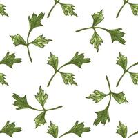 Hand drawn parsley leaf seamless pattern in colored vintage sketch style vector