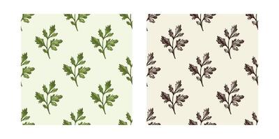 Parsley leaf seamless pattern set, hand drawn in vintage sketch style, color and black versions vector