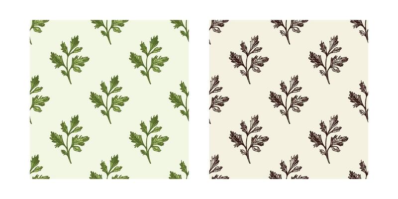 Parsley leaf seamless pattern set, hand drawn in vintage sketch style, color and black versions