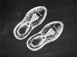 Hand drawn vintage sketch of hiking boots pair in white chalk style on chalkboard background vector