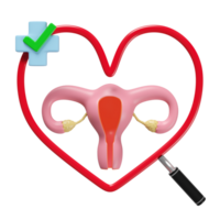 3d heart shaped magnifying glass with uterus model, cross, check mark isolated. check uterus health, medicare concept, 3d illustration render png