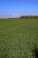 A beautiful summer landscape with wind turbines, nature, trees and field. photo
