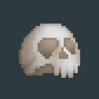 skull head in pixel art style with isolated background vector