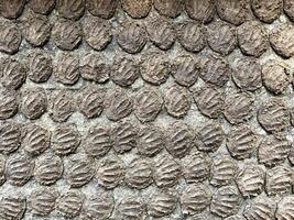 Cow dung has been applied to the walls of the house. photo