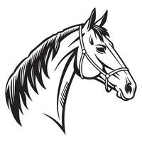 A horse head in a black and white drawing vector