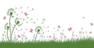 Dandelions with butterflies. vector