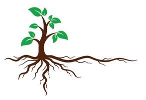 The Green tree logo with roots. vector