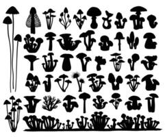 The big set silhouettes of forest mushrooms. vector