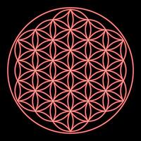 Neon flower of life Sacred geometry red color vector