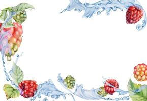 Raspberry berries leaves flying in water splash, dew drops, ripe garden dewberry cloudberry mulberry loganberry tayberry hand drawn in watercolor. Isolated border corner frame. Menu, farmers market vector