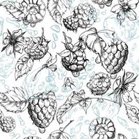 Raspberry leaves, dew drops, ice cubes, water splash. Ripe summer garden forest berry loganberry hand drawn in ink. Isolated seamless pattern tile. Home preserves, stationery, menu, recipe book vector