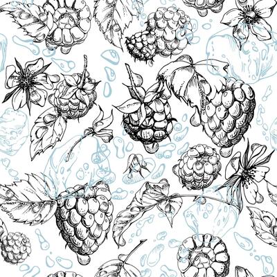 Raspberry leaves, dew drops, ice cubes, water splash. Ripe summer garden forest berry loganberry hand drawn in ink. Isolated seamless pattern tile. Home preserves, stationery, menu, recipe book