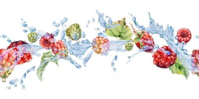 Raspberry flying in water splash with leaves and dew drops, ripe summer garden forest berry loganberry hand drawn in watercolor. Isolated seamless banner. Home preserves, stationery, menu, recipe book vector