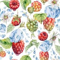 Raspberry leaves, dew drops, ice cubes, water splash. Ripe summer garden forest berry loganberry hand drawn in watercolor. Isolated seamless pattern tile. Home preserves, stationery, menu, recipe book vector