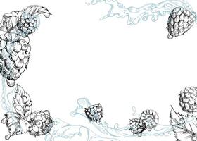 Raspberry berries leaves flying in water splash, dew drops, ripe garden dewberry cloudberry mulberry loganberry tayberry hand drawn in ink. Isolated border corner frame. Menu, farmers market vector
