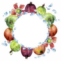 Gooseberry Currant berries wreath flying with water splash, flowers dew drops hand drawn in watercolor. Ripe garden casseille jostaberry. Isolated circle frame. Fresh grocery, home preserves cookbook vector