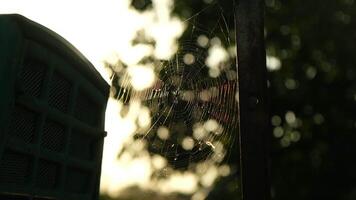 Spider web on an old rusty car against sunset video